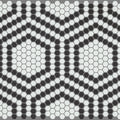 RETRO APIARY