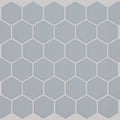 GRANDEUR 2" HEX MATTE MOSAIC