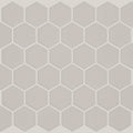 GRANDEUR 2" HEX MATTE MOSAIC