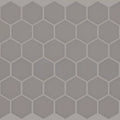 GRANDEUR 2" HEX MATTE MOSAIC