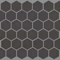 GRANDEUR 2" HEX MATTE MOSAIC