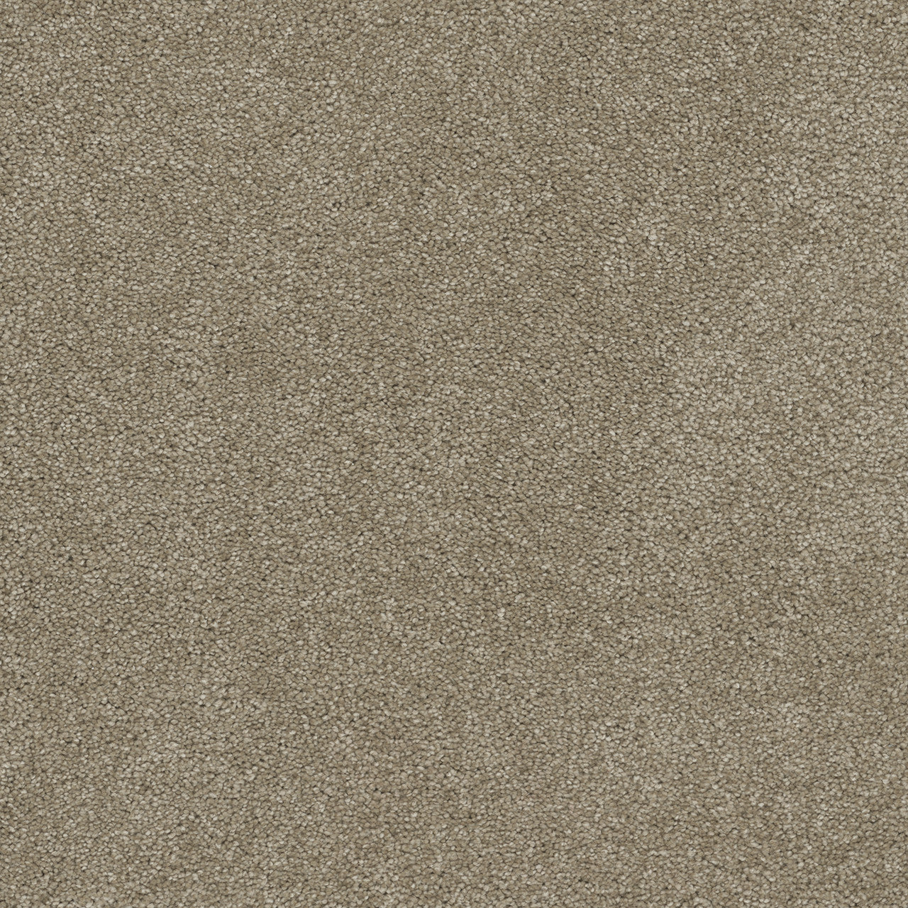 ROCK SOLID I