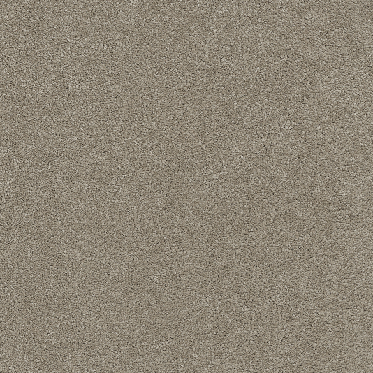 ROCK SOLID II