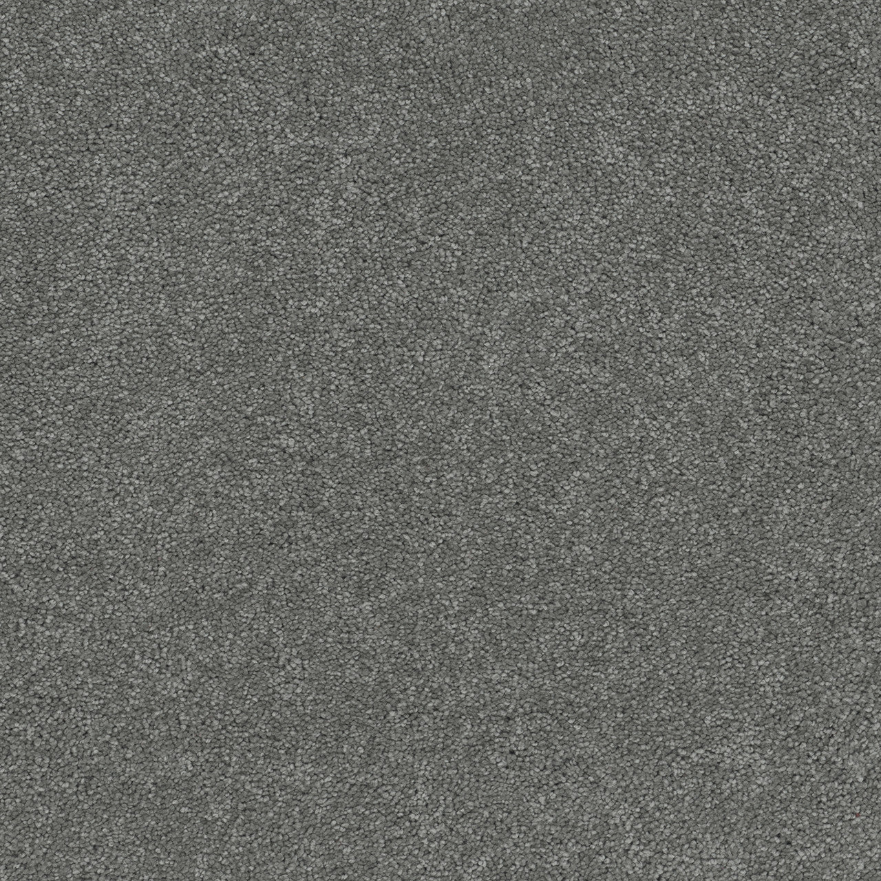ROCK SOLID II