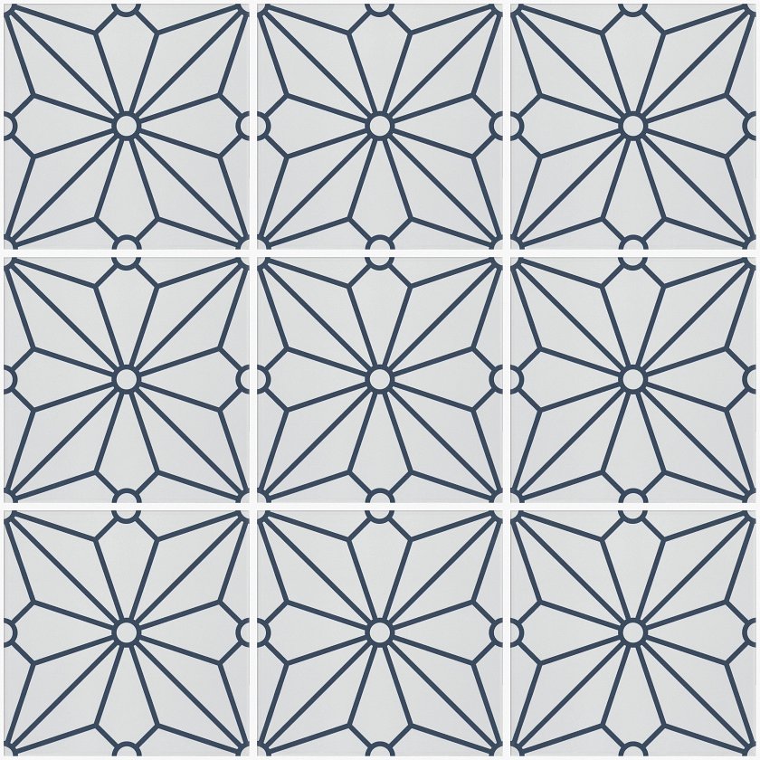 COSMOS 8X8