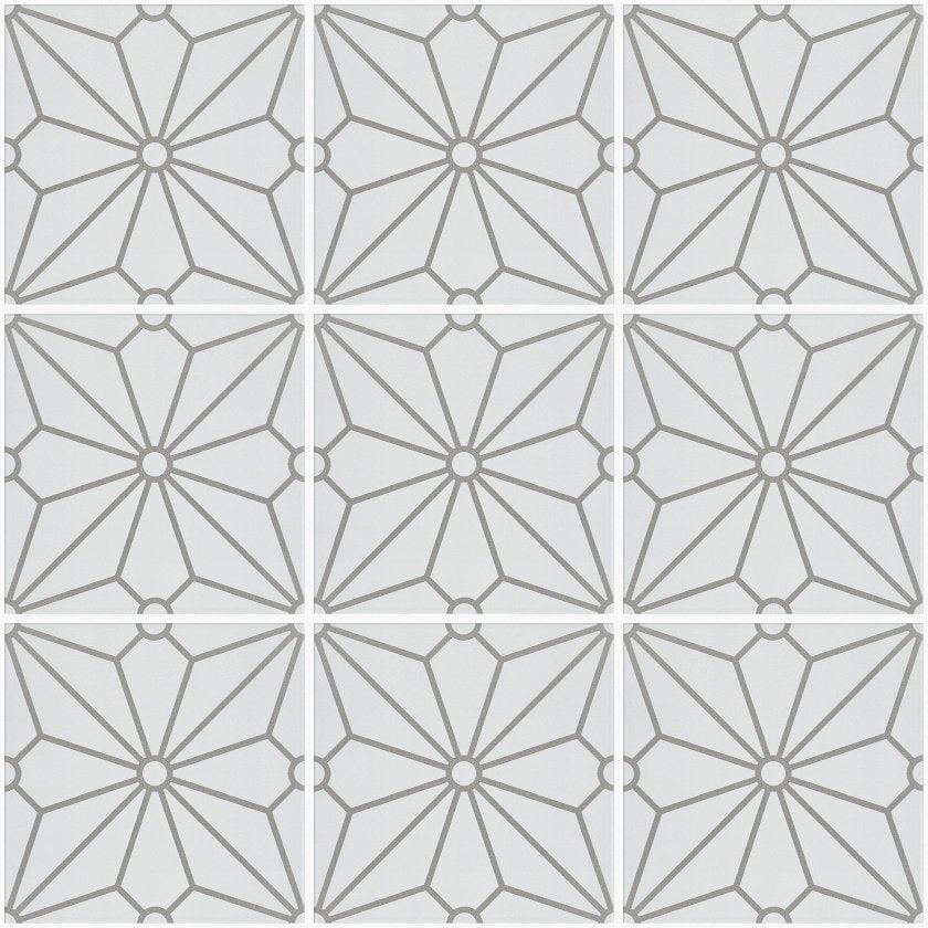 COSMOS 8X8
