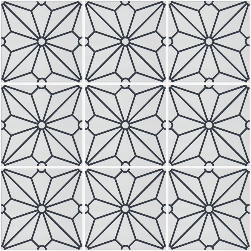 COSMOS 8X8