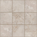 BASANITE LEGACY 8X8