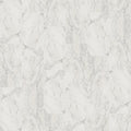 PRIME AURA 24X48 MATTE