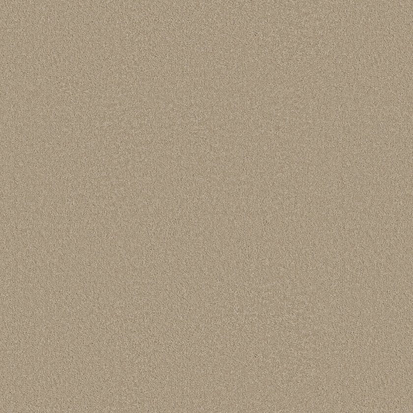 EVERYDAY COMFORT (S)