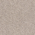 TAKE THE FLOOR ACCENT II