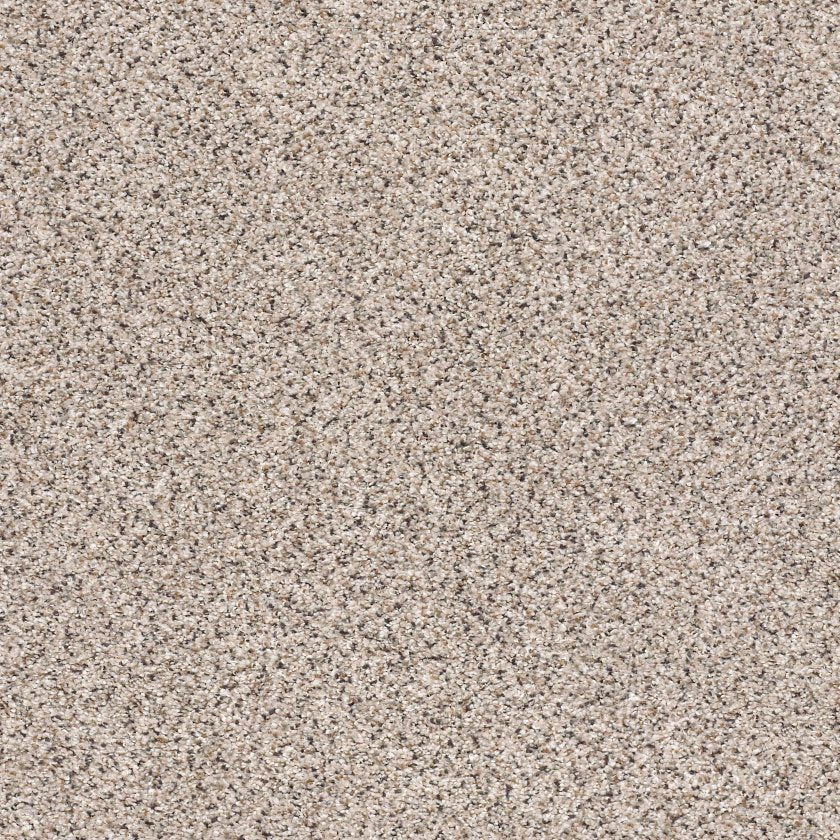 TAKE THE FLOOR ACCENT II