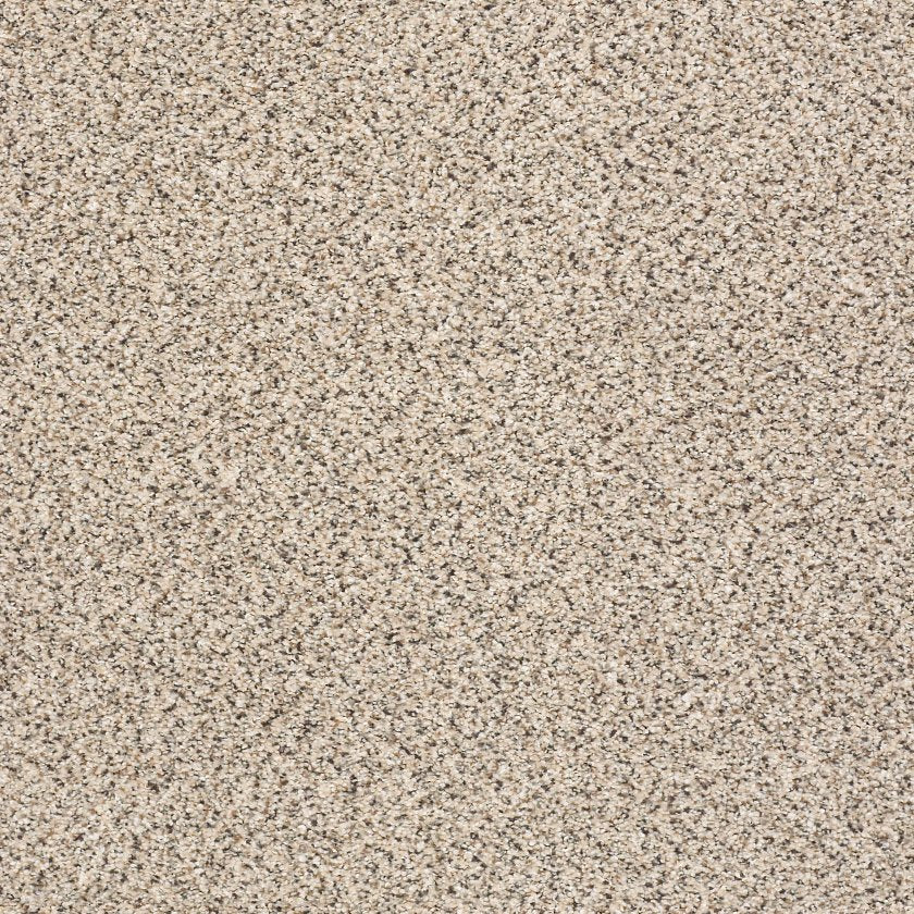 TAKE THE FLOOR ACCENT II