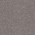 TAKE THE FLOOR ACCENT II