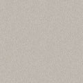 ALLURING CANVAS