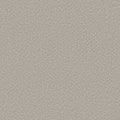 ALLURING CANVAS