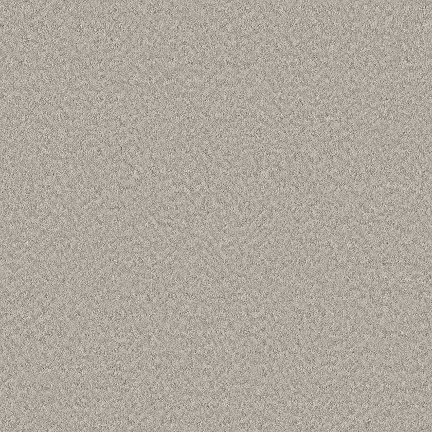 ALLURING CANVAS