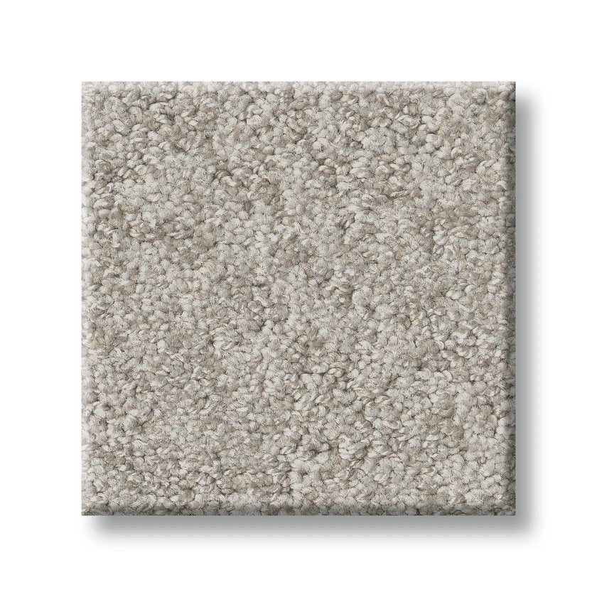 ALLURING CANVAS