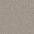 ALLURING CANVAS