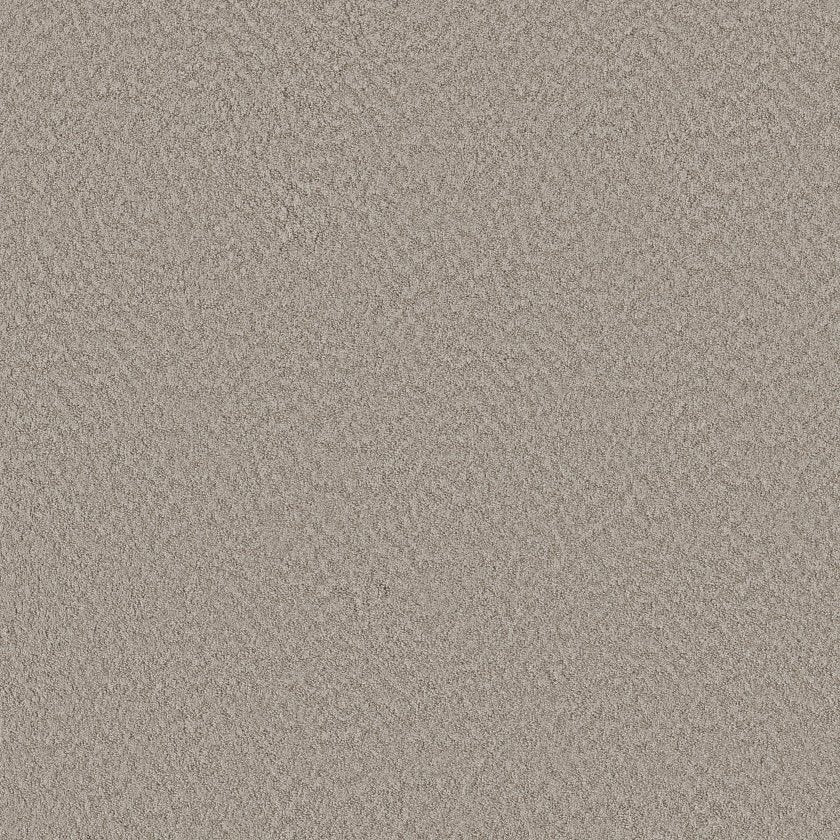 ALLURING CANVAS