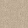 ALLURING CANVAS