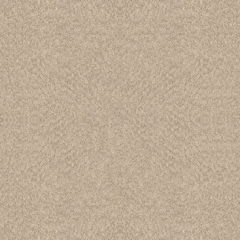 ALLURING CANVAS