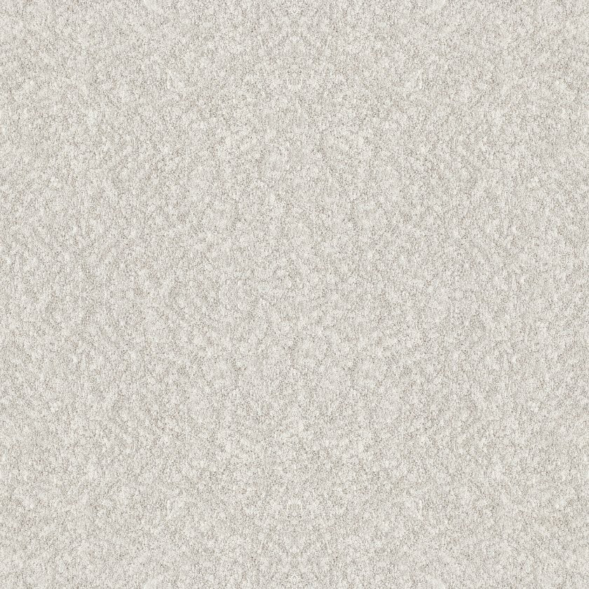 ALLURING CANVAS