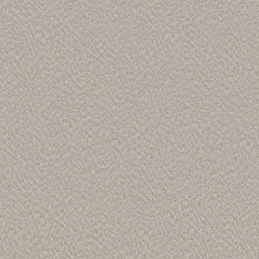 ALLURING CANVAS