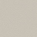 ALLURING CANVAS