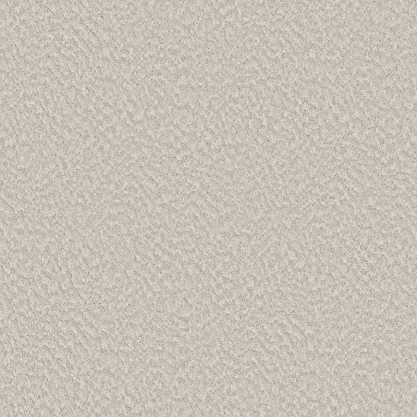 ALLURING CANVAS