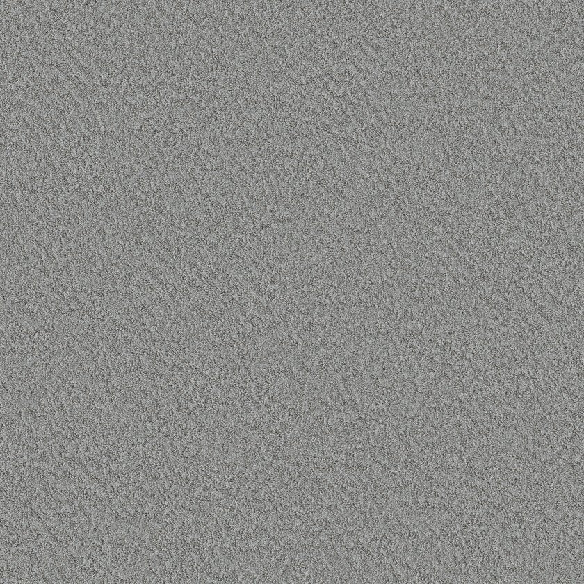 ALLURING CANVAS