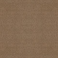 ALLURING CANVAS