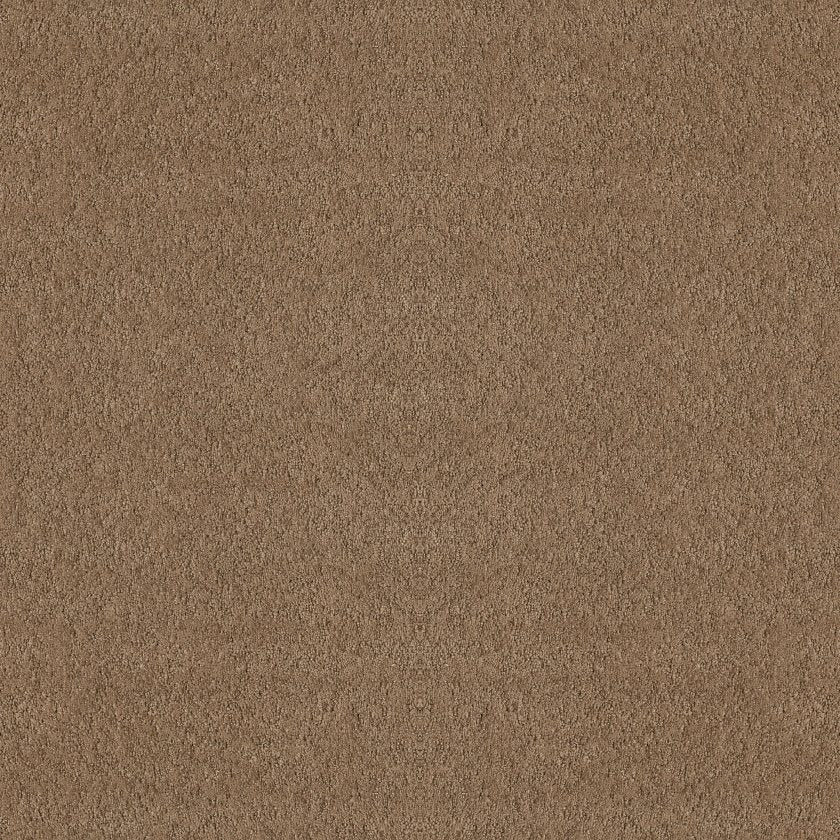 ALLURING CANVAS