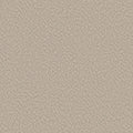 ALLURING CANVAS