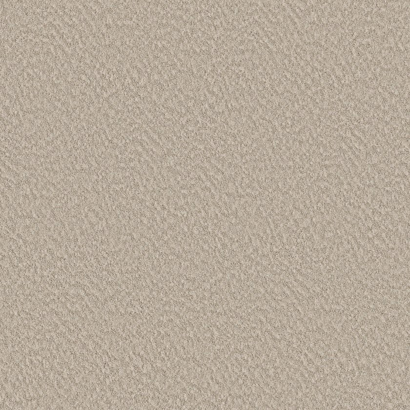 ALLURING CANVAS