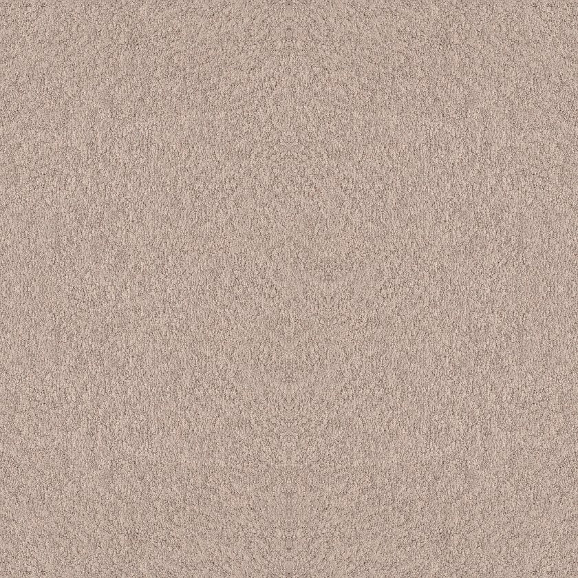 ALLURING CANVAS