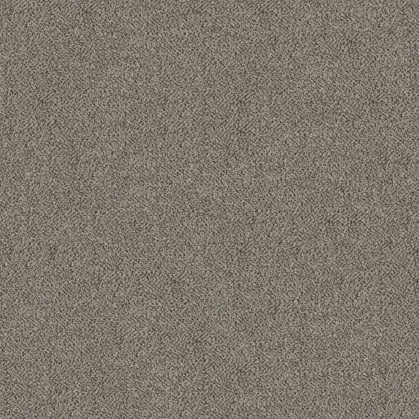 TruSpirit I