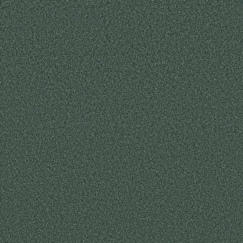 TONAL COMFORT I