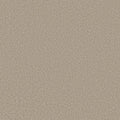 High Ranking - Tonal