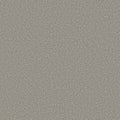 High Ranking - Tonal