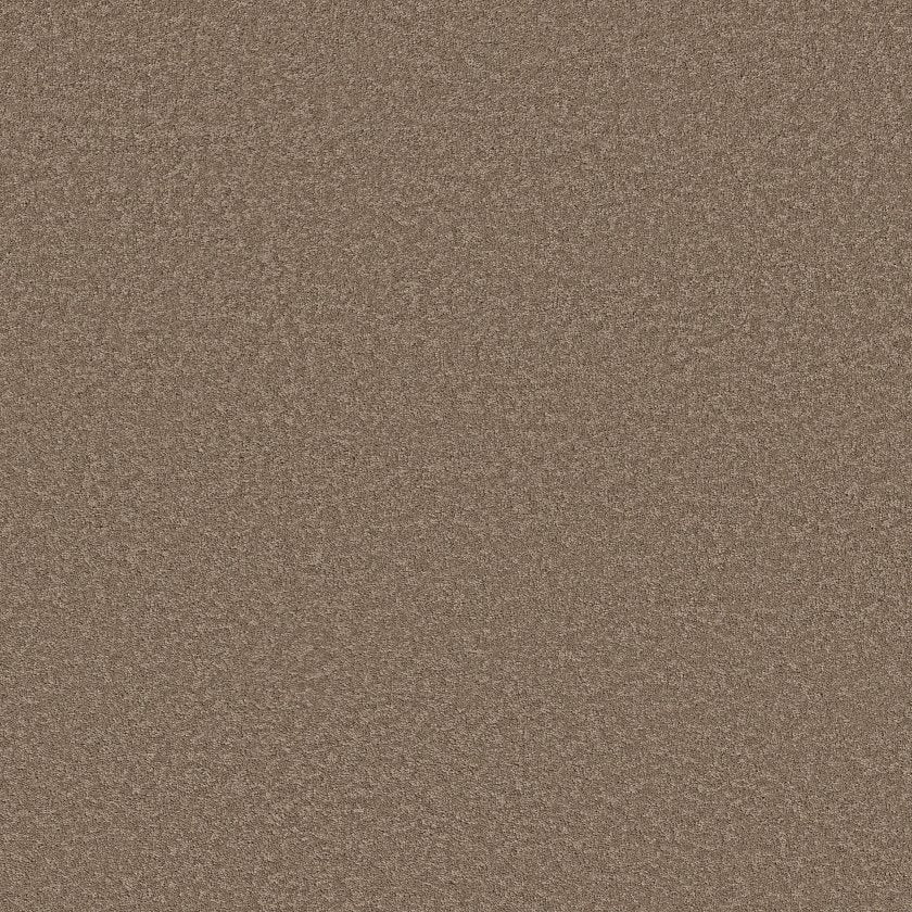 VELVET TOUCH II