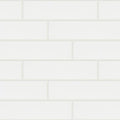COASTAL PROSPECT 3X12 GLOSS