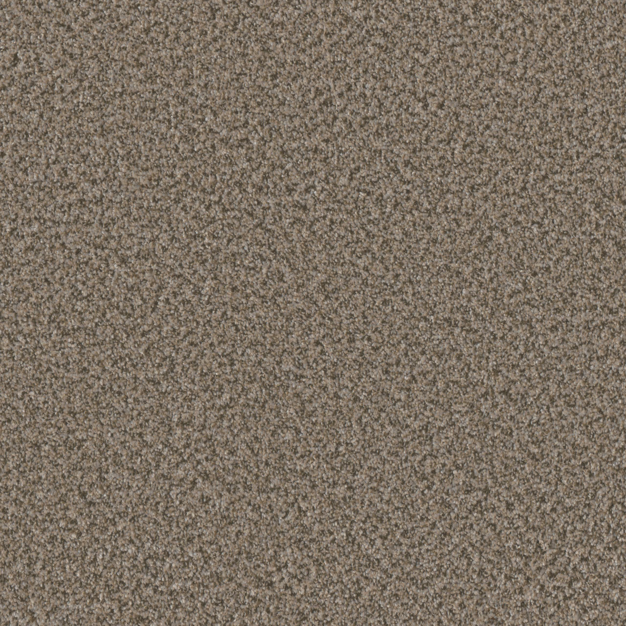 BRAZEN II