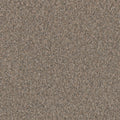 TIMBERLINE II