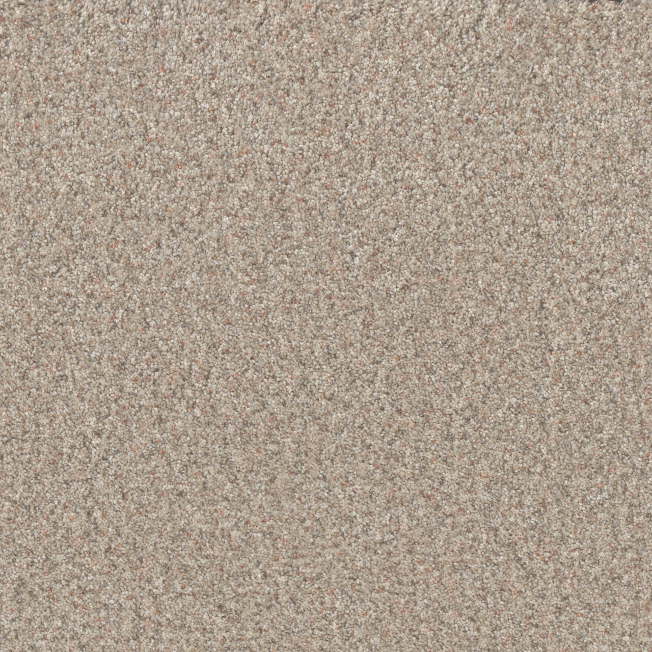 TIMBERLINE II