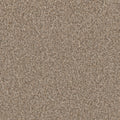 TIMBERLINE II