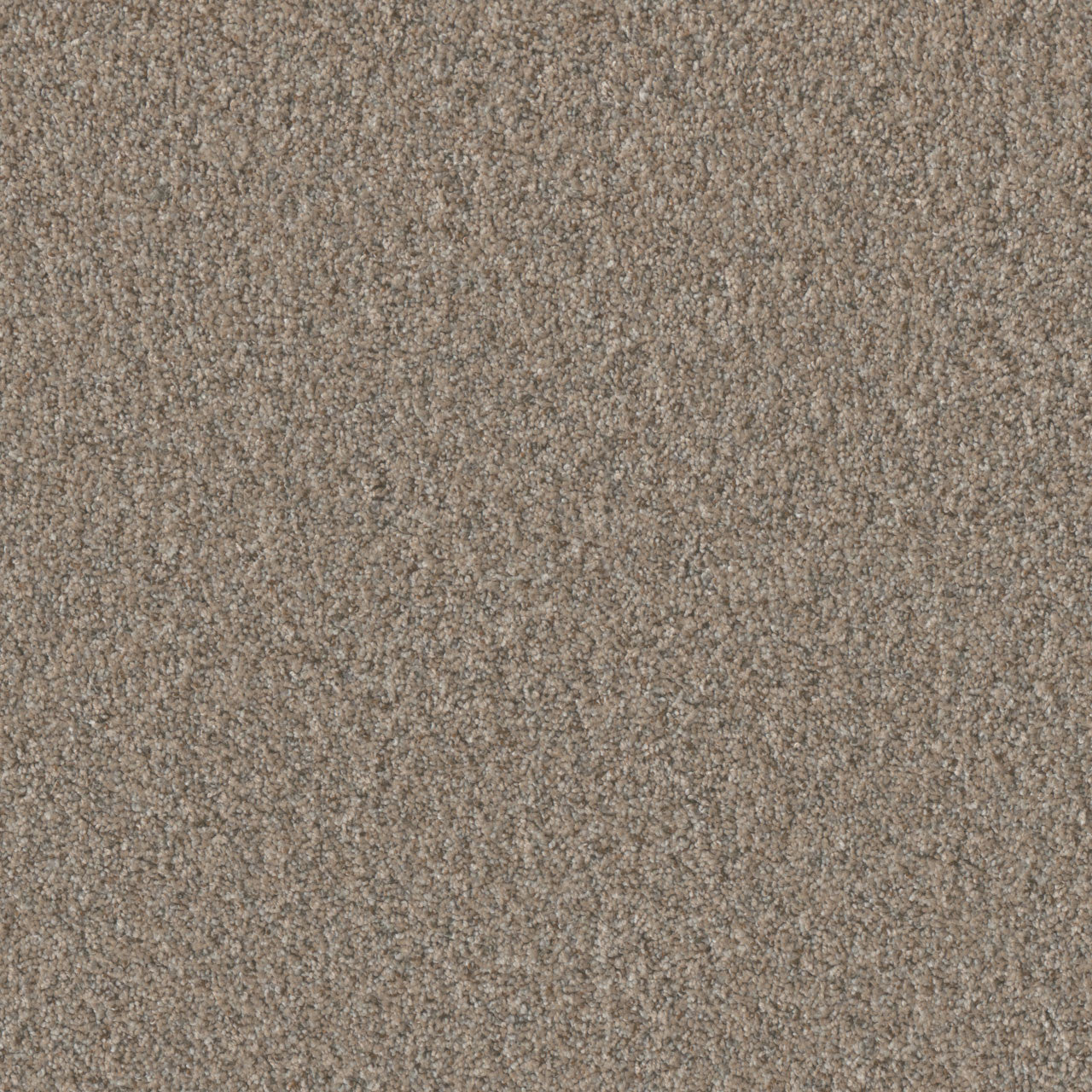 TIMBERLINE I