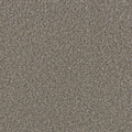 TIMBERLINE II