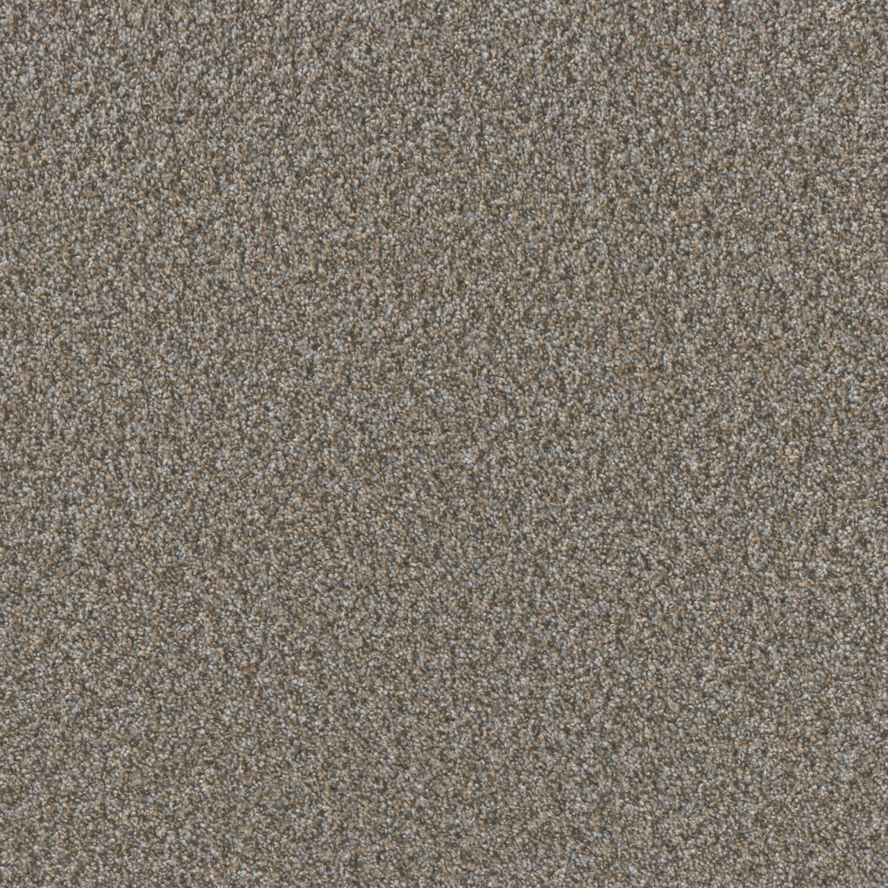 TIMBERLINE II