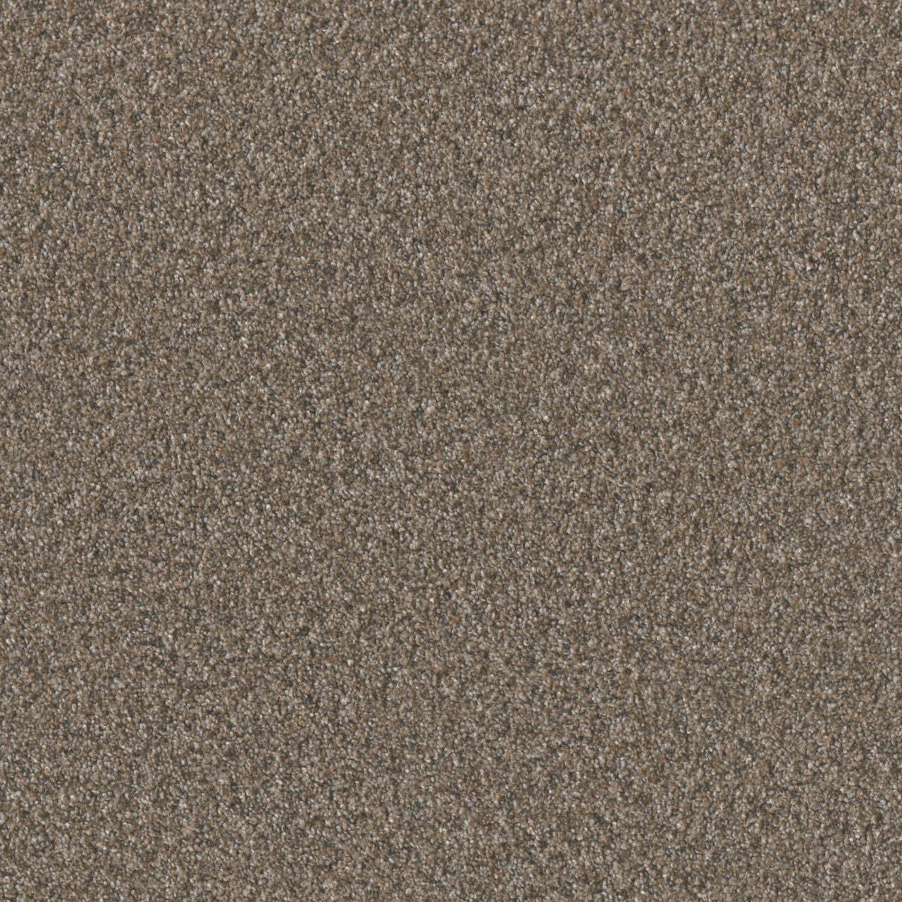 TIMBERLINE II